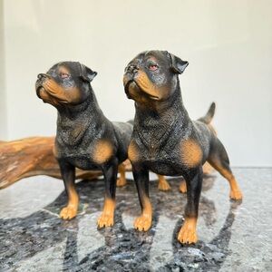 Realistic Pair Of 8” Rottweiler Dogs Collectible Plastic Model Animal Figures